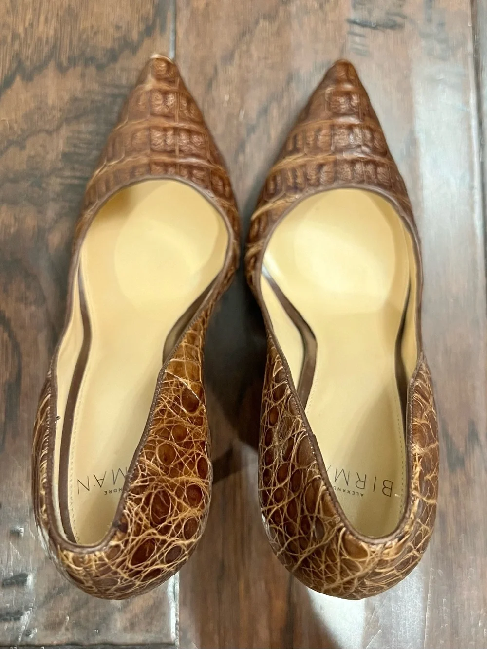 Alexandre Birman Brown Croc-Embossed Pointed Toe Stiletto Pumps